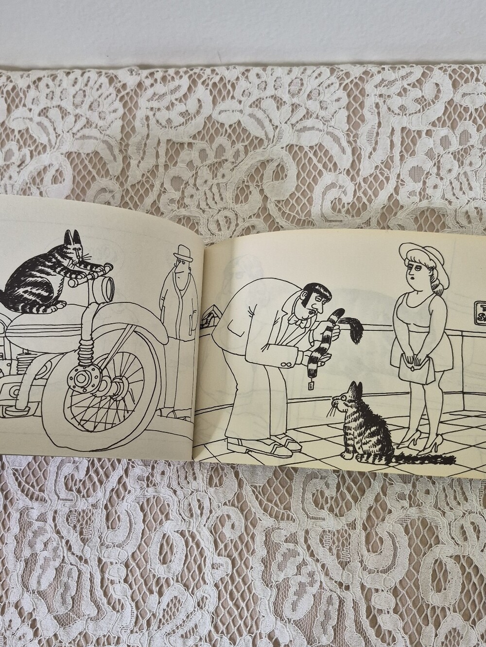 B. Kilban Cat Book - Picture 6 of 7